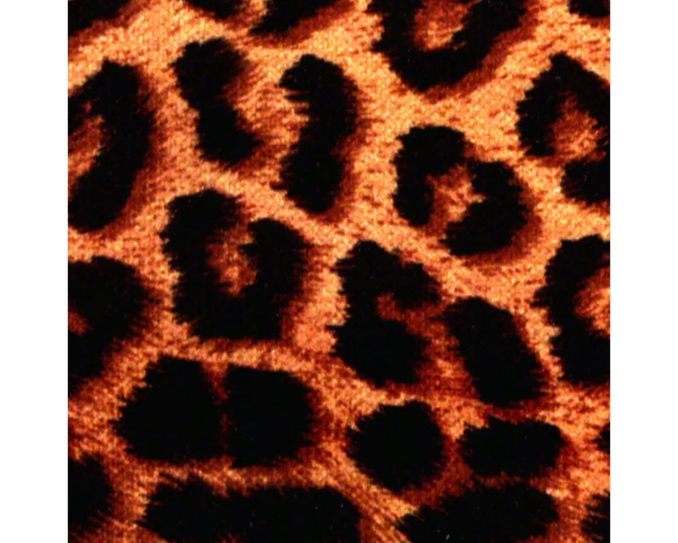 Custom Fit Velour Rear Deck Cover - Cheetah - Image 2
