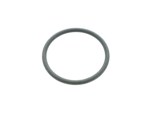 Mercedes-Benz Fuel Strainer O-Ring | 1972-2003